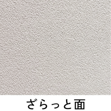 画像をギャラリービューアに読み込む, 表紙B5-レザー
