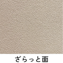 画像をギャラリービューアに読み込む, 表紙B6-レザー
